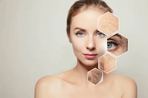 Mulberry Extract Benefits for Skin