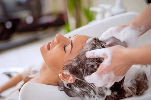 Ayurvedic Shampoo 