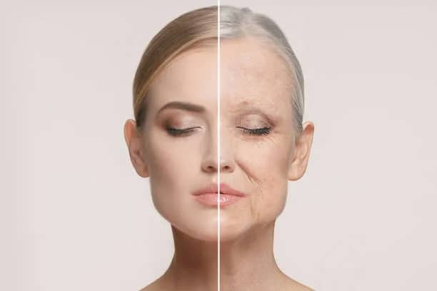Natural ingredients for anti-aging
