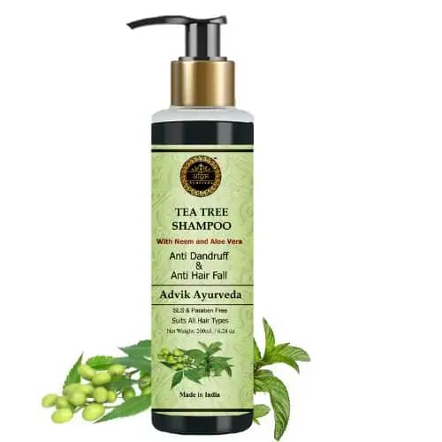 Ayurvedic Shampoo